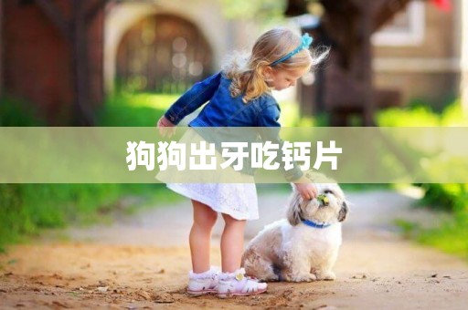 狗狗出牙吃鈣片
