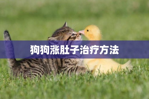 狗狗漲肚子治療方法