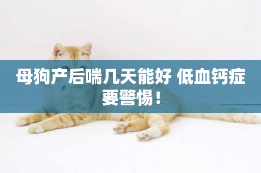 母狗產后喘幾天能好 低血鈣癥要警惕！