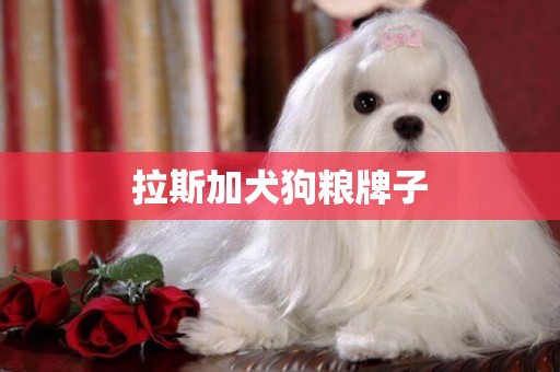 拉斯加犬狗糧牌子