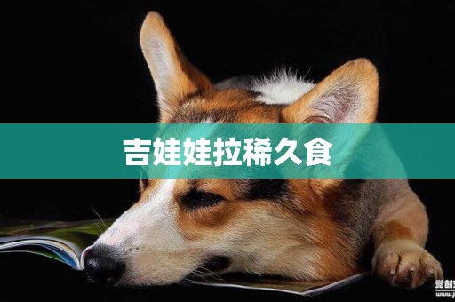 吉娃娃拉稀久食