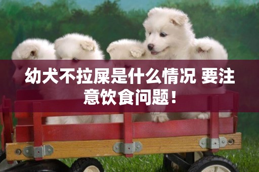 幼犬不拉屎是什么情況 要注意飲食問題！