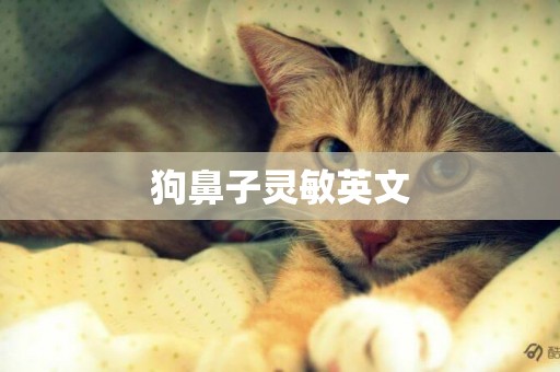 狗鼻子靈敏英文