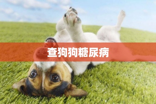 查狗狗糖尿病