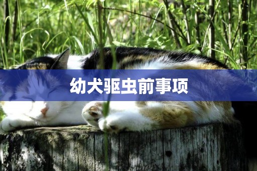 幼犬驅蟲前事項