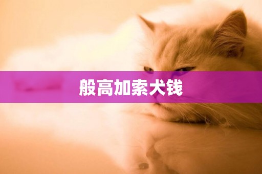 般高加索犬錢