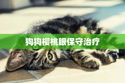 狗狗櫻桃眼保守治療