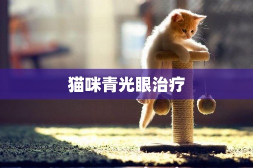 貓咪青光眼治療