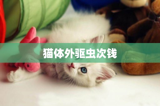 貓體外驅蟲次錢