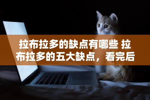 拉布拉多的缺點有哪些 拉布拉多的五大缺點，看完后悔了！