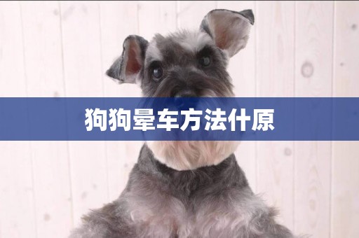 狗狗暈車方法什原