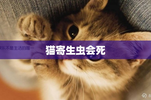 貓寄生蟲會死