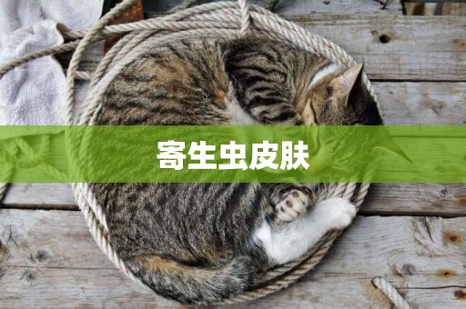 寄生蟲皮膚