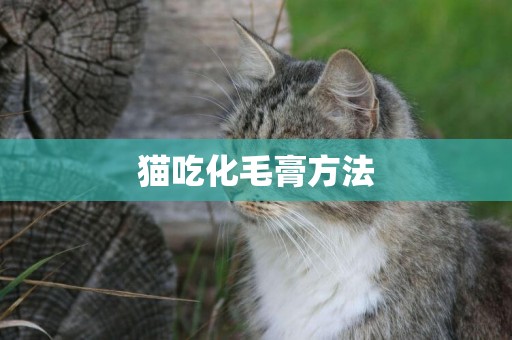 貓吃化毛膏方法