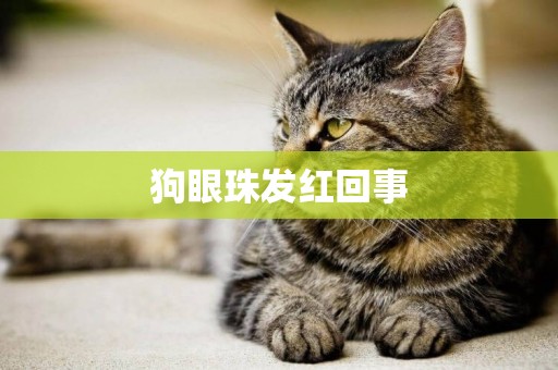 狗眼珠發紅回事