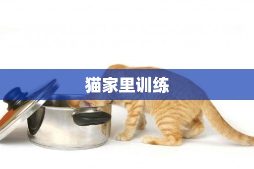 貓家里訓練