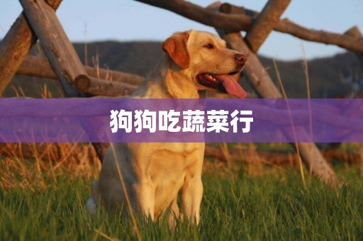 狗狗吃蔬菜行