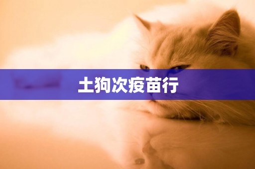 土狗次疫苗行