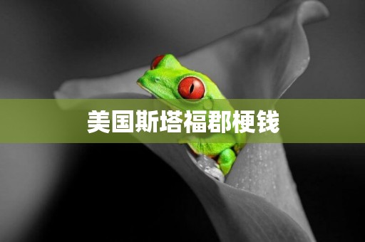 美國斯塔福郡梗錢