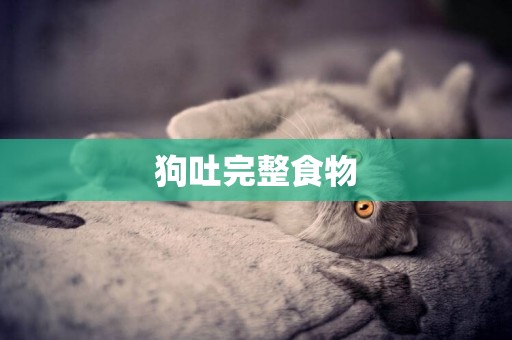 狗吐完整食物