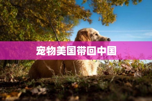 寵物美國帶回中國