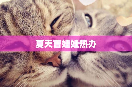 夏天吉娃娃熱辦
