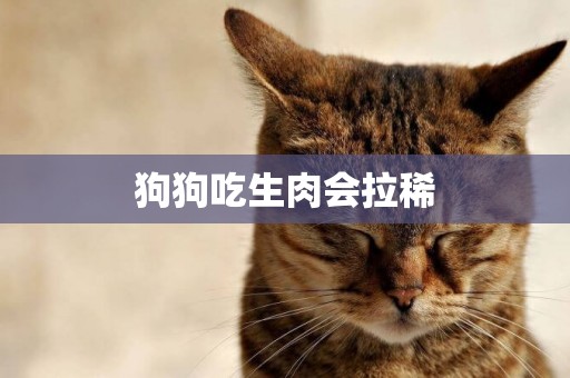 狗狗吃生肉會拉稀