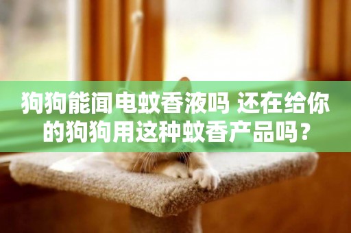 狗狗能聞電蚊香液嗎 還在給你的狗狗用這種蚊香產品嗎？
