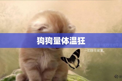 狗狗量體溫狂