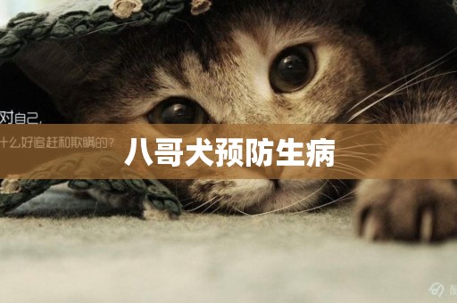 八哥犬預防生病