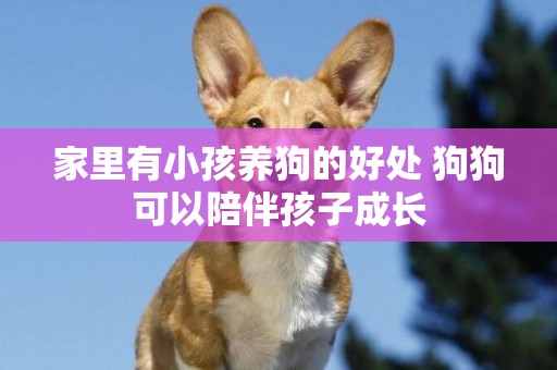 家里有小孩養狗的好處 狗狗可以陪伴孩子成長