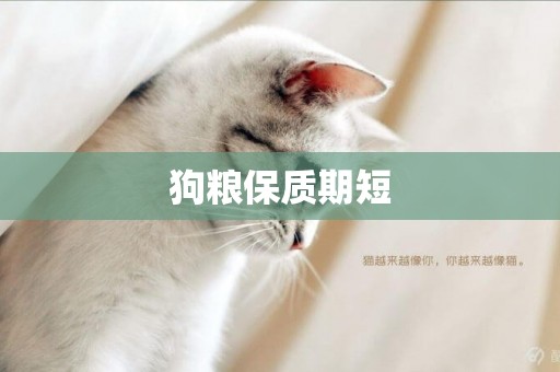 狗糧保質期短