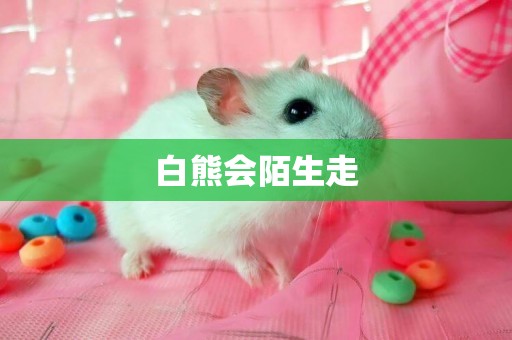 白熊會陌生走