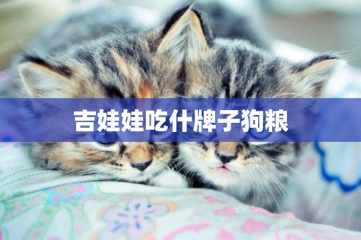 吉娃娃吃什牌子狗糧
