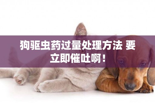 狗驅蟲藥過量處理方法 要立即催吐啊！