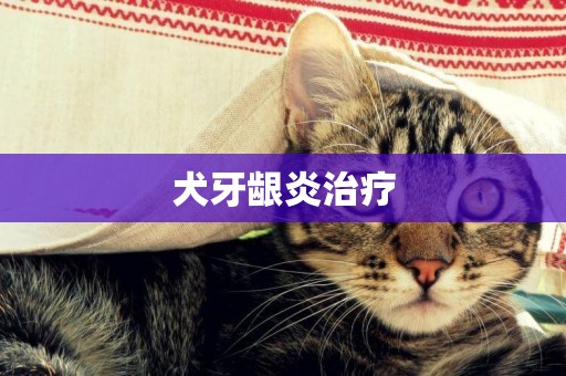 犬牙齦炎治療