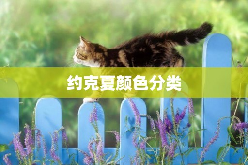約克夏顏色分類