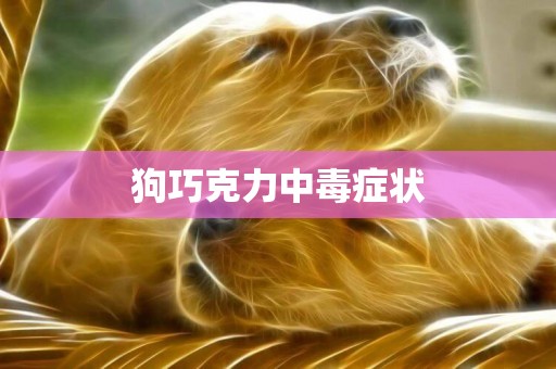 狗巧克力中毒癥狀