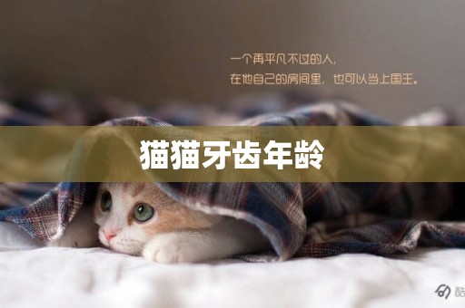 貓貓牙齒年齡