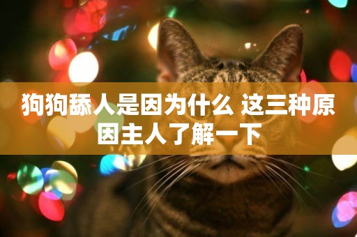 狗狗舔人是因為什么 這三種原因主人了解一下