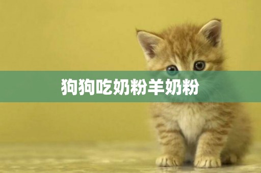 狗狗吃奶粉羊奶粉