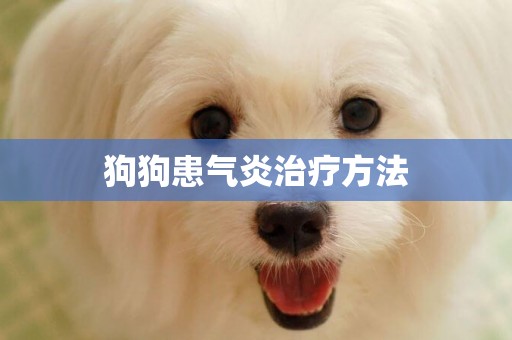 狗狗患氣炎治療方法
