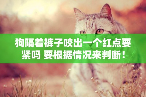 狗隔著褲子咬出一個紅點要緊嗎 要根據情況來判斷！