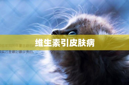 維生素引皮膚病