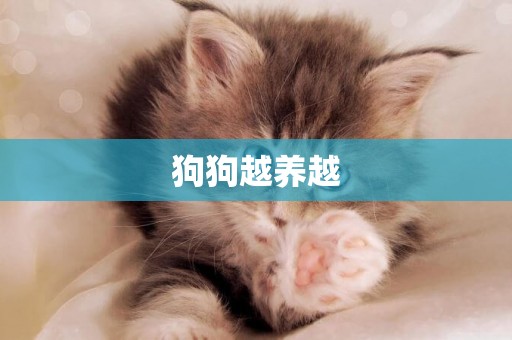 狗狗越養越