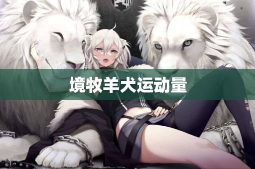 境牧羊犬運動量