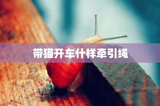 帶貓開車什樣牽引繩