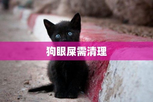 狗眼屎需清理