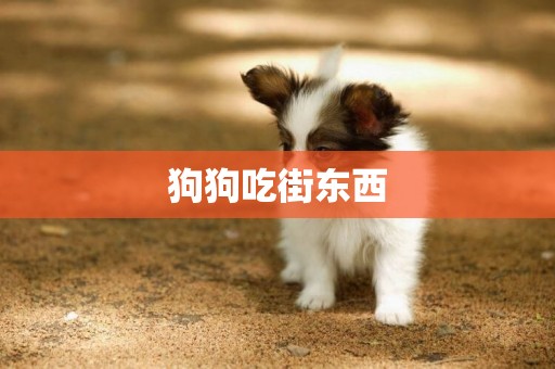 狗狗吃街東西