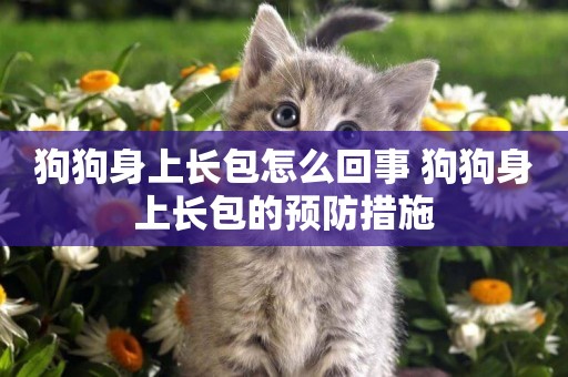 狗狗身上長包怎么回事 狗狗身上長包的預防措施